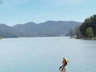 4월12일 꽃비내리는 대청호..