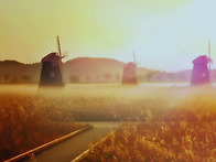 소래습지 물안개 ..