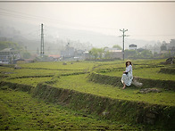 26년3월26일~31일(4박6..