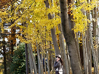 11월16일(일) 아가페정원 ..