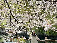 20260413일산 호수공원 봄..