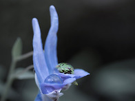 봄의 길목에서...(BGM)