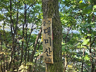 제118차 (충주)악어봉 정..