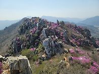 제115차 정기산행 (강진)..