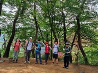 충남 부여마곡사 솔바람길..