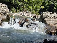 무더위엔 지리산 뱀사골이..