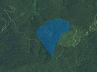 (812번) 경남고성임야매매..