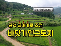 &#65308;&#65308;급매&#65310;&#65310; 삼산면 / 경..