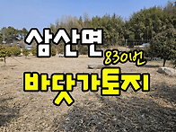 (830번) 경남고성부동산 ..