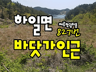 (827번) 경남고성부동산 ..