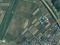 (금액인하)(재등록)(786..