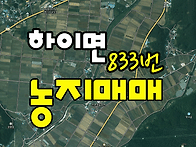 (833번) 경남고성토지매매..