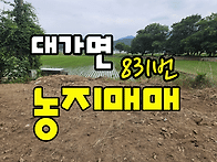 (831번) 경남고성토지매매..