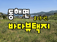 (825번) 경남고성부동산 ..
