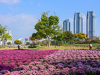 가을길