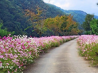 가을풍경