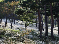 아름다운 산청의가을