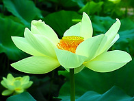 새로운 사람