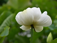 모두가 한때
