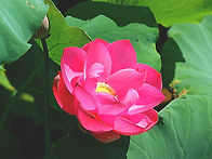인연과 만남은-법정 스님