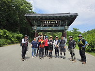성인대