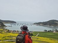 말이 필요 없는 섬 [전남 ..