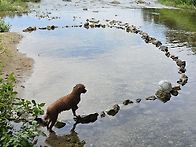 증산 대목교 250806