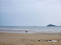 충청권 서해바다 갯벌 조행..