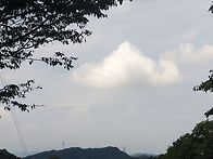 디아스포라