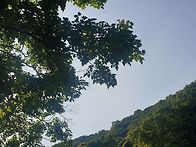 외로움