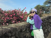 (3/22~3/25일) 제주도 자..