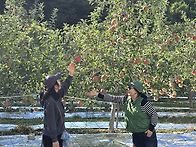 가을 추억만들기