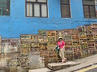 홍콩.마카오 패키지 여행후..