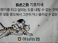 이러지도 못하고 저러지도..