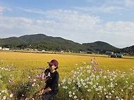 상주산