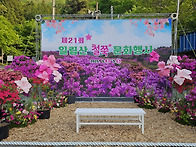 나를 찾아 떠나는 도전! ..