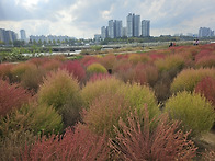 20251025-충남 아산시 국..