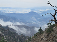 나를 찾아 떠나는 도전! ..