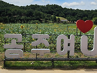 20260621-충남 공주시 미..