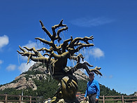 20260726-전북 군산시 대..