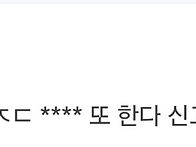 눈치가 없는 원숭이