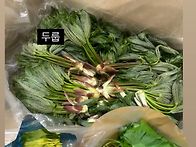 인스타에