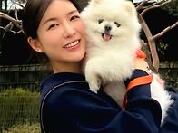 복덩이님들
