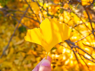 [모임취소] 11/29 토 p..