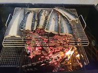 게르 안에서 장어 잔치