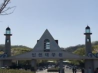 5/02(토)초록이 가득한 인..