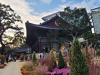 조계사