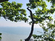 온세상(운) 벙~