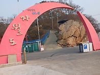 28일 자월도 머위채취
