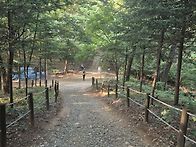 10월3 토요일 원미산가을산..